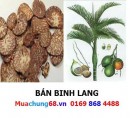 Binh Lang
